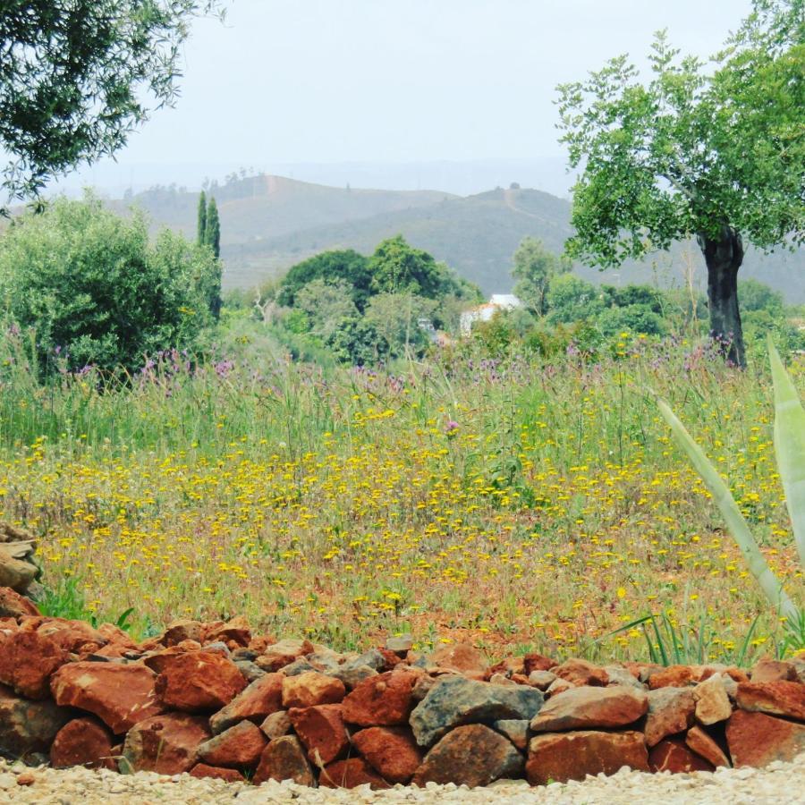Quinta Das Piteiras-Turismo Rural Silves Buitenkant foto