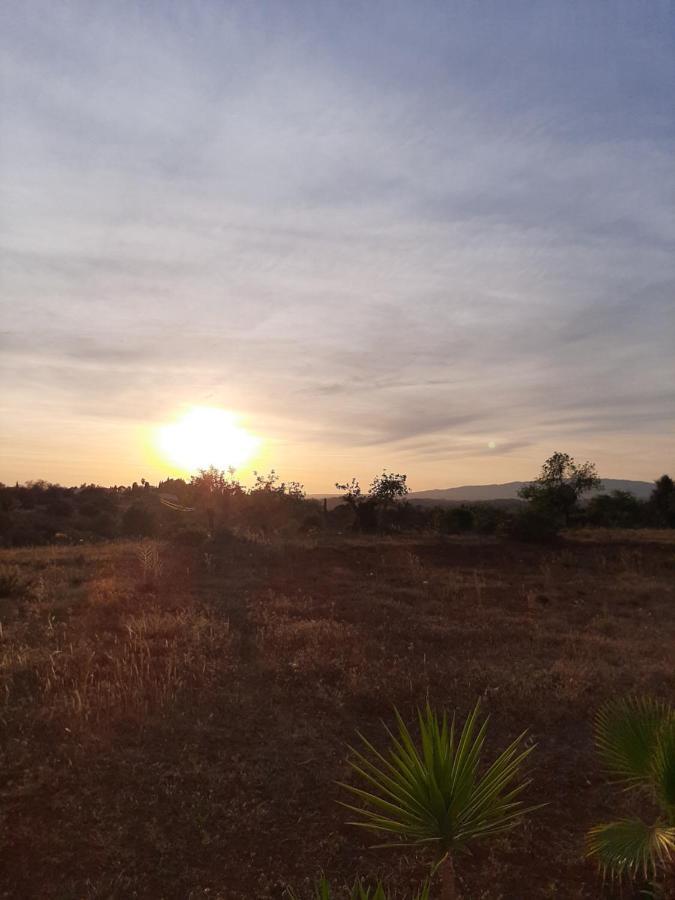Quinta Das Piteiras-Turismo Rural Silves Buitenkant foto